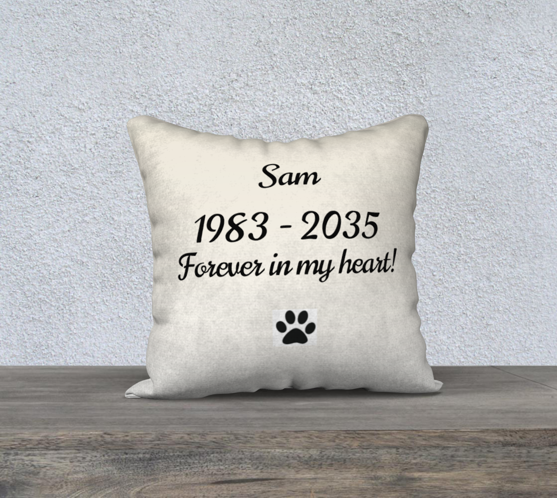 PillowCase18x18Sam2