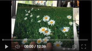 "Daisies" part 1 video - Artified
